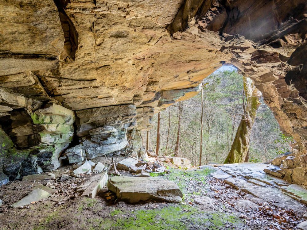 Majors Estate: 1610 Perth Rd, Clyde, NC 28721